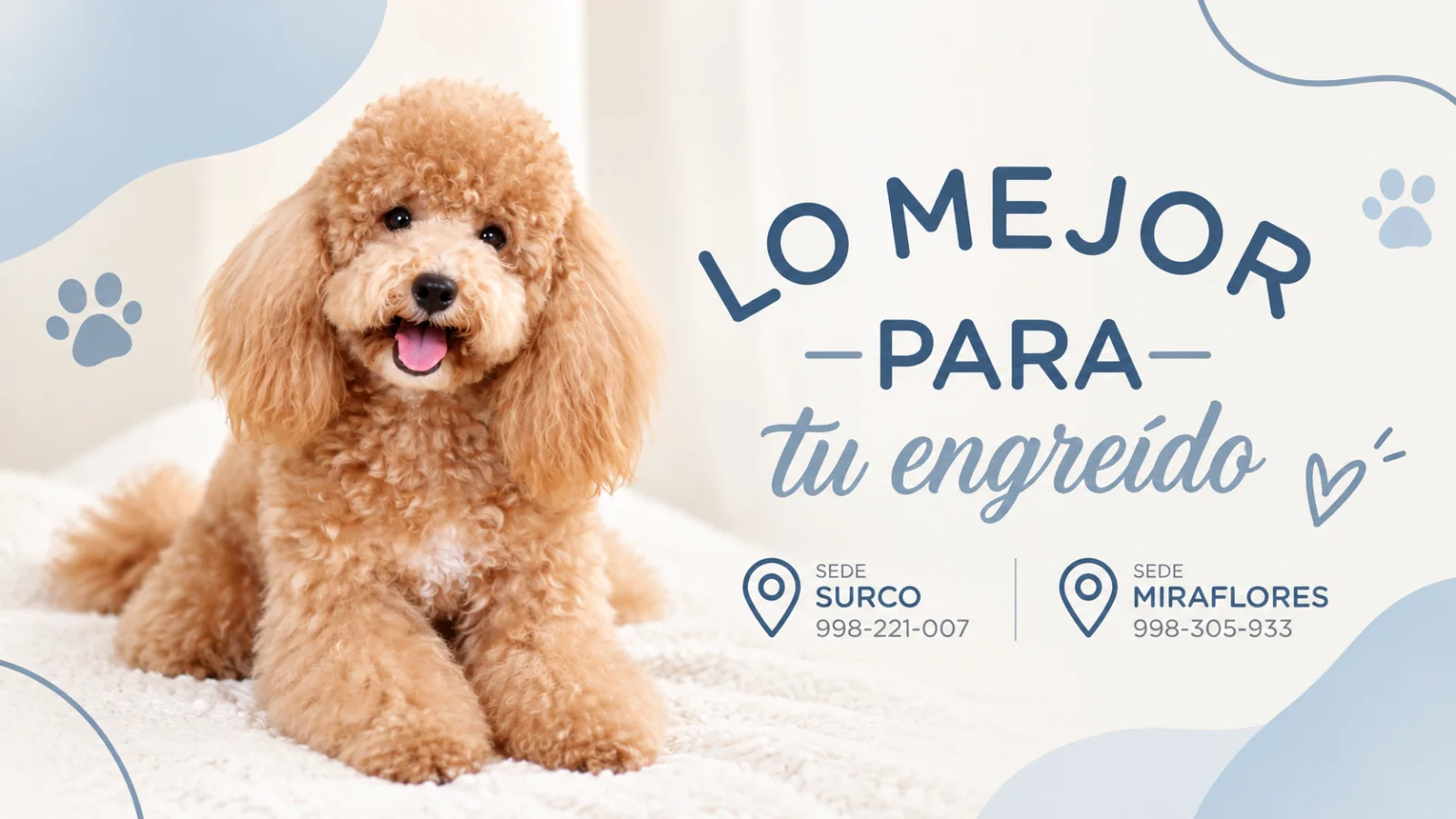 Portada de Pet Land